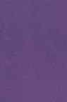 Snazaroo Face Paint: Classic Color Purple 18ml