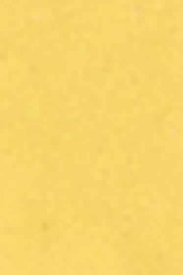 RF Pigment Stick: Naples Yellow 38ml