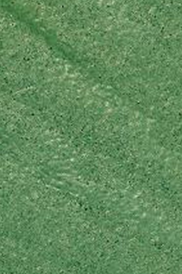 Snazaroo Face Paint: Metalic Color Electric Green 18ml