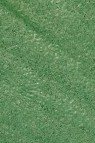 Snazaroo Face Paint: Metalic Color Electric Green 18ml