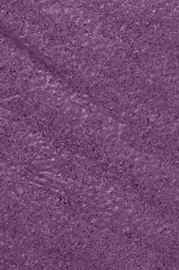 Snazaroo Face Paint: Metalic Color Electric Purple 18ml