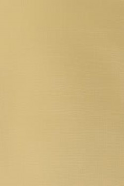 Winsor & Newton Galleria Acrylic: Buff Titanium  60ml