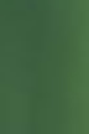 Shiva Artist's Oil Paintsticks: Olive Green