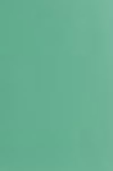 Shiva Artist's Oil Paintsticks: Viridian Green