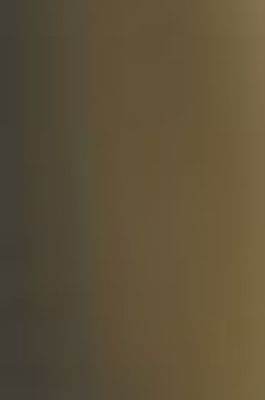 Shiva Artist's Oil Paintsticks: Burnt Umber