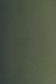 Shiva Artist's Oil Paintsticks: Raw Umber