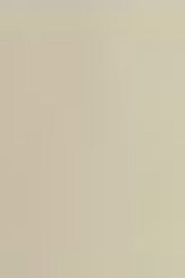 Shiva Artist's Oil Paintsticks: Beige