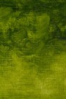Winsor & Newton Oil Bar: Permanent Sap Green 50ml
