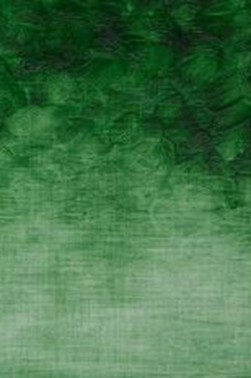 Winsor & Newton Oil Bar: Terre Verte 50ml