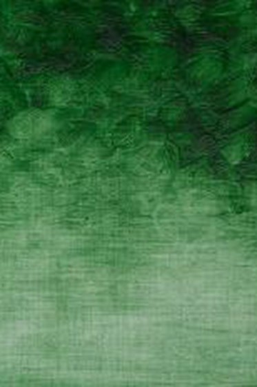 Winsor & Newton Oil Bar: Terre Verte 50ml