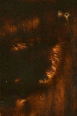 Encaustic Paints: Burnt Umber 40ml
