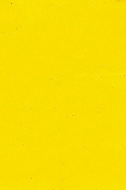 Encaustic Paints: Cadmium Yellow Medium 40ml