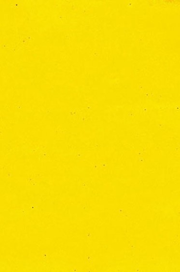 Encaustic Paints: Cadmium Yellow Medium 40ml