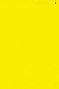 Encaustic Paints: Cadmium Yellow Light 40ml