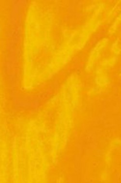 Encaustic Paints: Indian Yellow 40ml