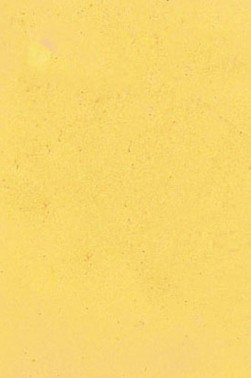 Encaustic Paints: Naples Yellow 40ml