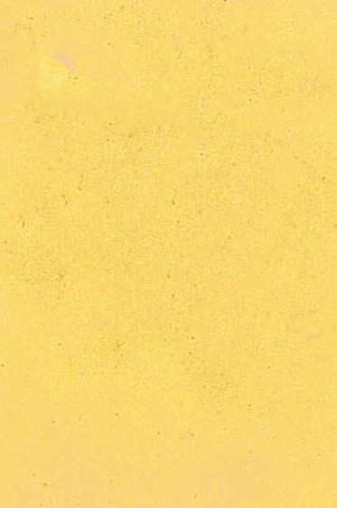 Encaustic Paints: Naples Yellow 40ml