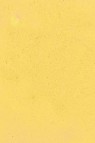 Encaustic Paints: Naples Yellow 40ml