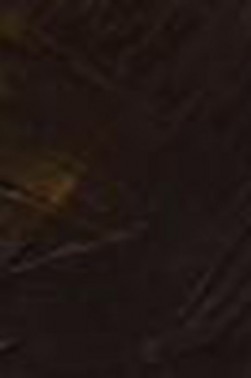 Encaustic Paints: Raw Umber 40ml