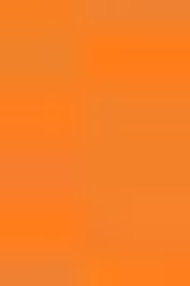 Derivan Block Ink: Orange250ml