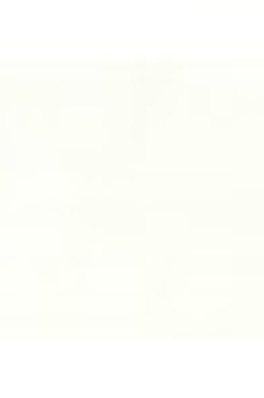 Lukas Linol Printing Ink:White