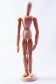 Wooden Mannequin & Models: Wooden Mannequin Female