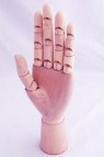 Wooden Mannequin & Models: Wooden 10" Left Hand Manikin