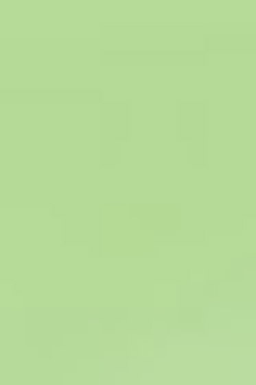 Derivan ErgoPro Marker:  Apple Green