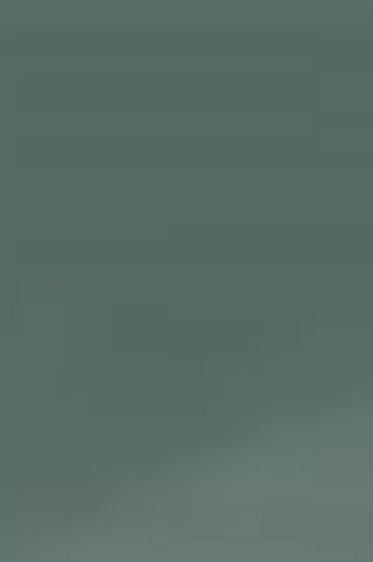 Derivan ErgoPro Marker:  Basic Gray 5