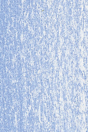 Jack Richeson Handmade Soft Pastel: Blue 35