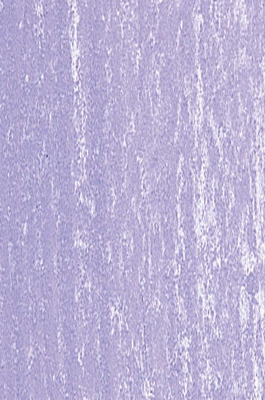 Jack Richeson Handmade Soft Pastel: Blue 52