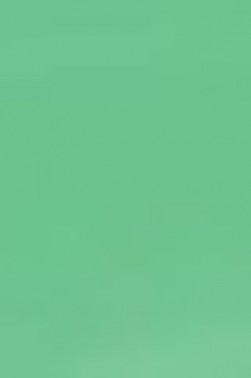 Derivan ErgoPro Marker:  Bright Green