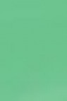 Derivan ErgoPro Marker:  Bright Green