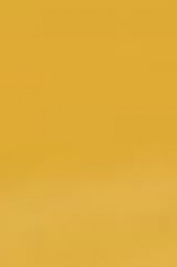 Derivan ErgoPro Marker:  Caramel