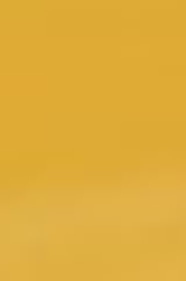 Derivan ErgoPro Marker:  Caramel