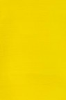 Winsor & Newton Galleria Acrylic: Cadmium Yellow Pale Hue 250ml