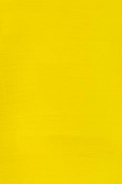 Winsor & Newton Galleria Acrylic: Cadmium Yellow Pale Hue 60ml