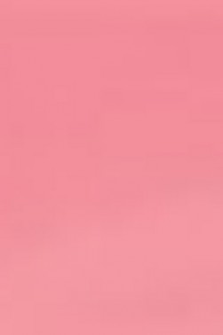 Derivan ErgoPro Marker:  Coral Pink (slightly damaged)