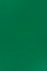 Derivan ErgoPro Marker: Dark Green (slightly damaged)