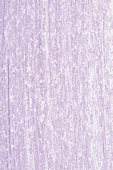 Jack Richeson Handmade Soft Pastel: Blue 65