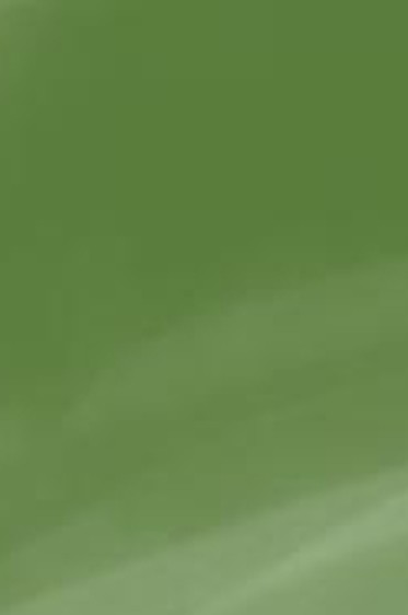 Derivan ErgoPro Marker:  Dark Olive Green