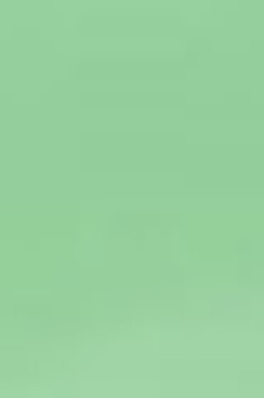 Derivan ErgoPro Marker:  Green Tomato