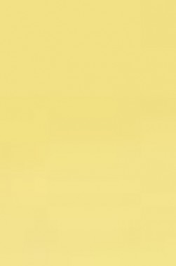 Derivan ErgoPro Marker:  Honey Yellow