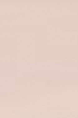 Derivan ErgoPro Marker:  Latte