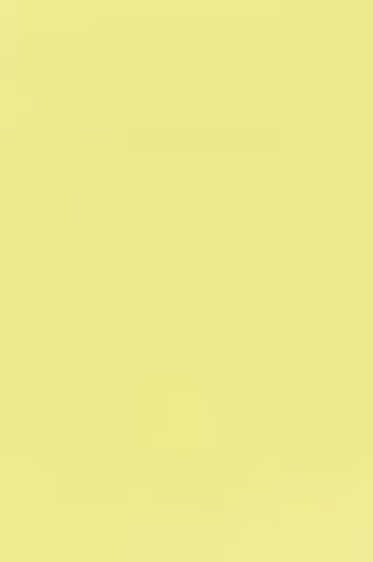 Derivan ErgoPro Marker:  Light Maize