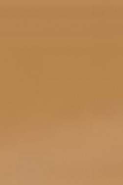 Derivan ErgoPro Marker:  Light Umber