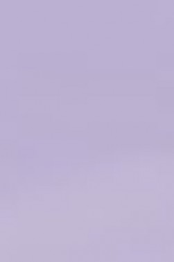 Derivan ErgoPro Marker:  Lilac