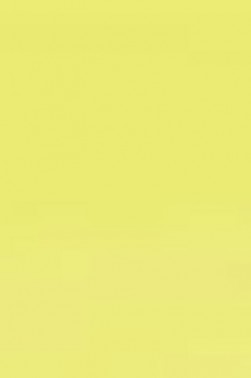 Derivan ErgoPro Marker:  Lime