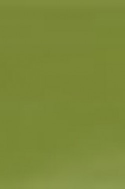 Derivan ErgoPro Marker:  Olive