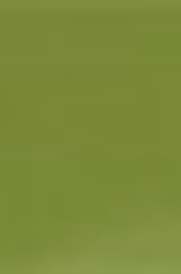 Derivan ErgoPro Marker:  Olive